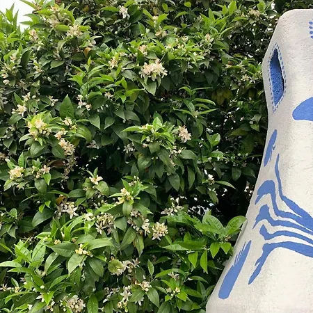 Mago's Garden, A Delightful In The Forte dei Marmi