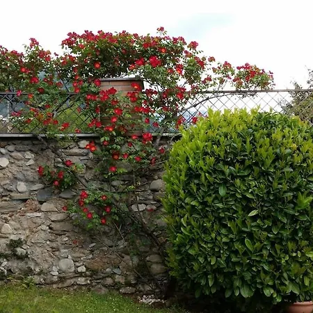 Mago's Garden, A Delightful In The Villa