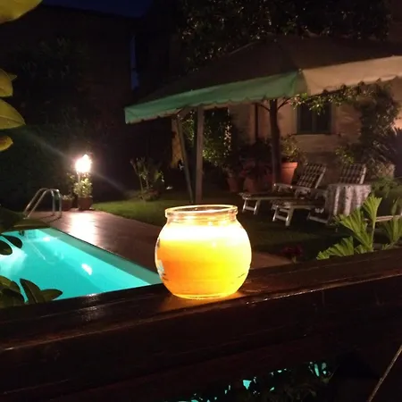 Villa Mago's Garden, A Delightful In The *