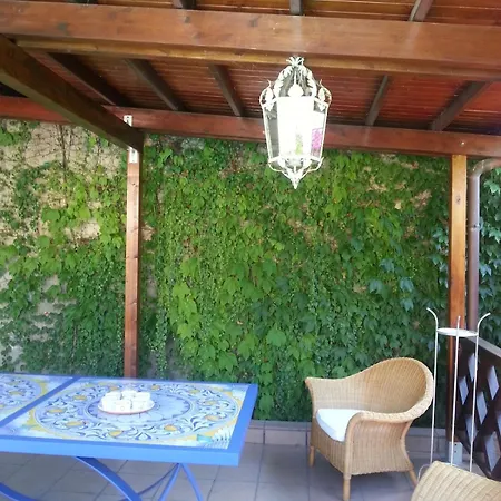 Mago's Garden, A Delightful In The *