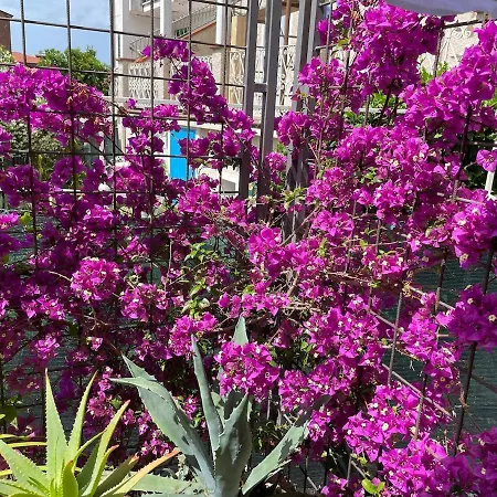 Mago's Garden, A Delightful In The Villa *