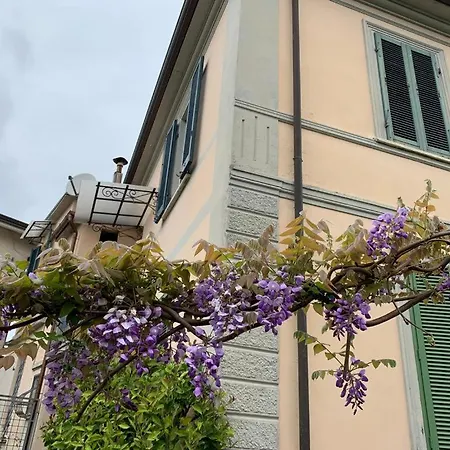 Mago's Garden, A Delightful In The *