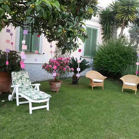 Mago's Garden, A Delightful In The