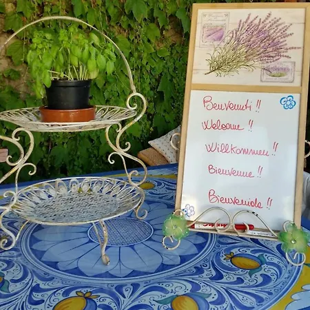 Mago's Garden, A Delightful In The * Forte dei Marmi
