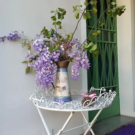 Mago's Garden, A Delightful In The Villa *