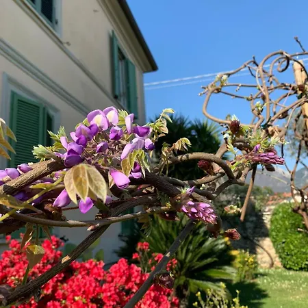 Villa Mago's Garden, A Delightful In The Forte dei Marmi